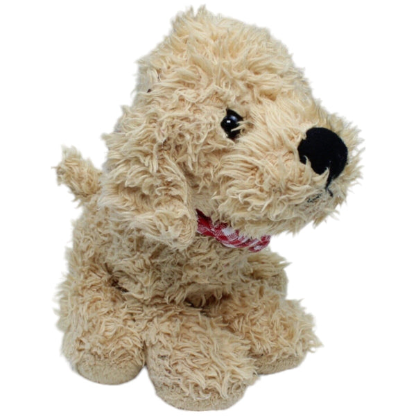 Cockapoo Hundewelpe, Lulu