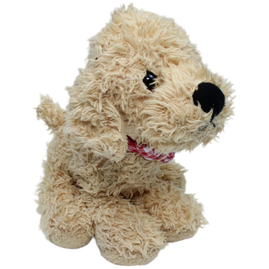 Cockapoo Hundewelpe, Lulu