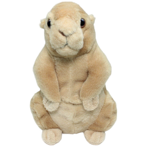 Präriehund, stehend