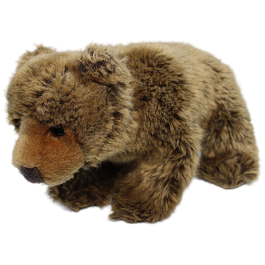 Braunbär