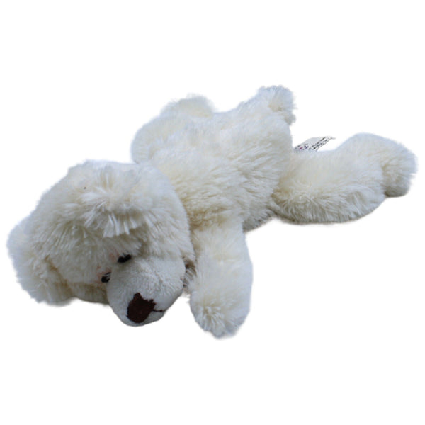 Eisbär, liegend
